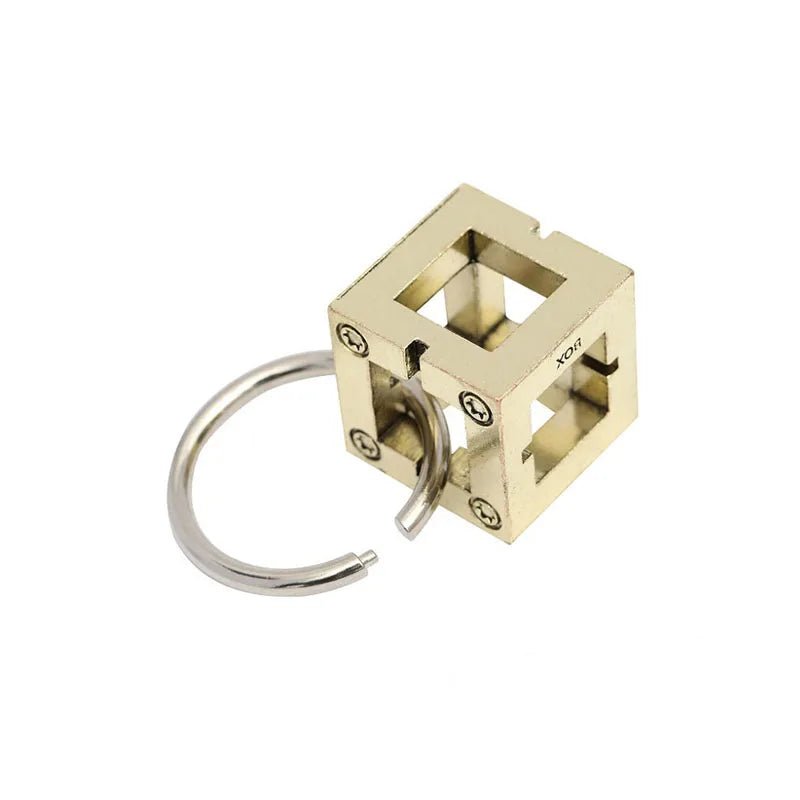 Metal Puzzle Brain Teaser IQ Test Toys - UNIVEA